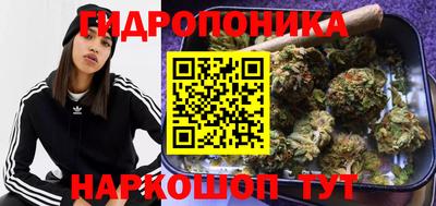 герыч Новодвинск